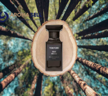 بهترین عطر و ادکلن با رایحه طبیعت و جنگل و چوب