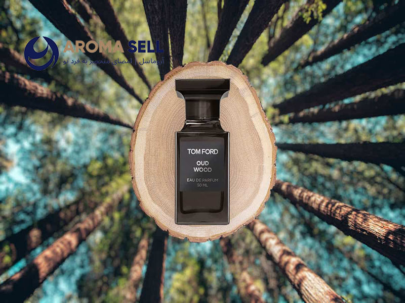بهترین عطر و ادکلن با رایحه طبیعت و جنگل و چوب