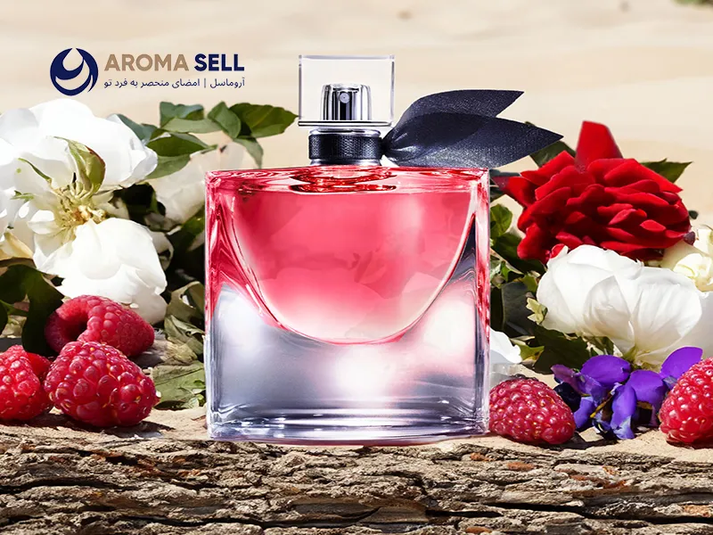 بهترین عطر ادکلن فرانسوی